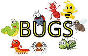 Bilde av insekter rundt teksten "Bugs"