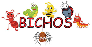 Bilde av insekter rundt teksten "Bugs"