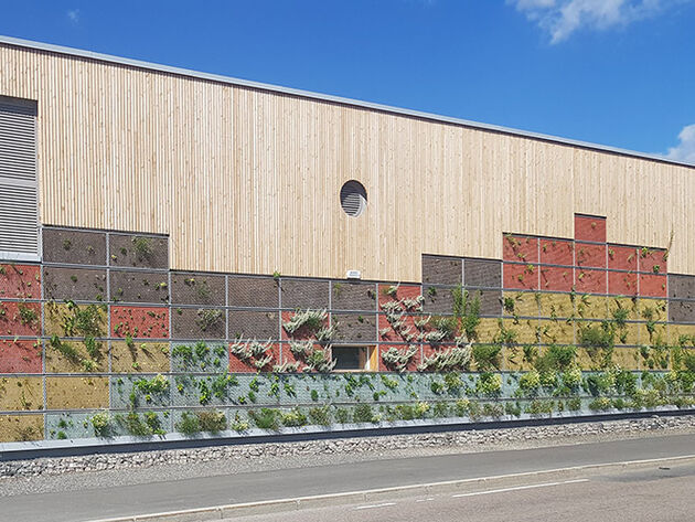 Illustrasjonsbilde av et såkalt "grønt bygg" med beplantning på veggene. 