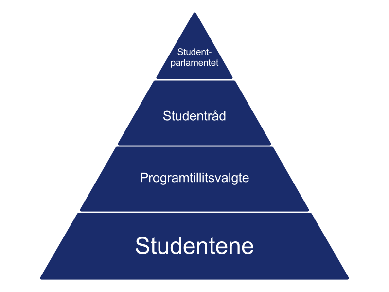 Dette er en pyramide. Nederst er studentene, så kommer tillitsvalge, så studentrådene og til slutt studentparlamentet. Det viser den hierarkiske modellen til SpiØ. Studentene er den viktigste parten