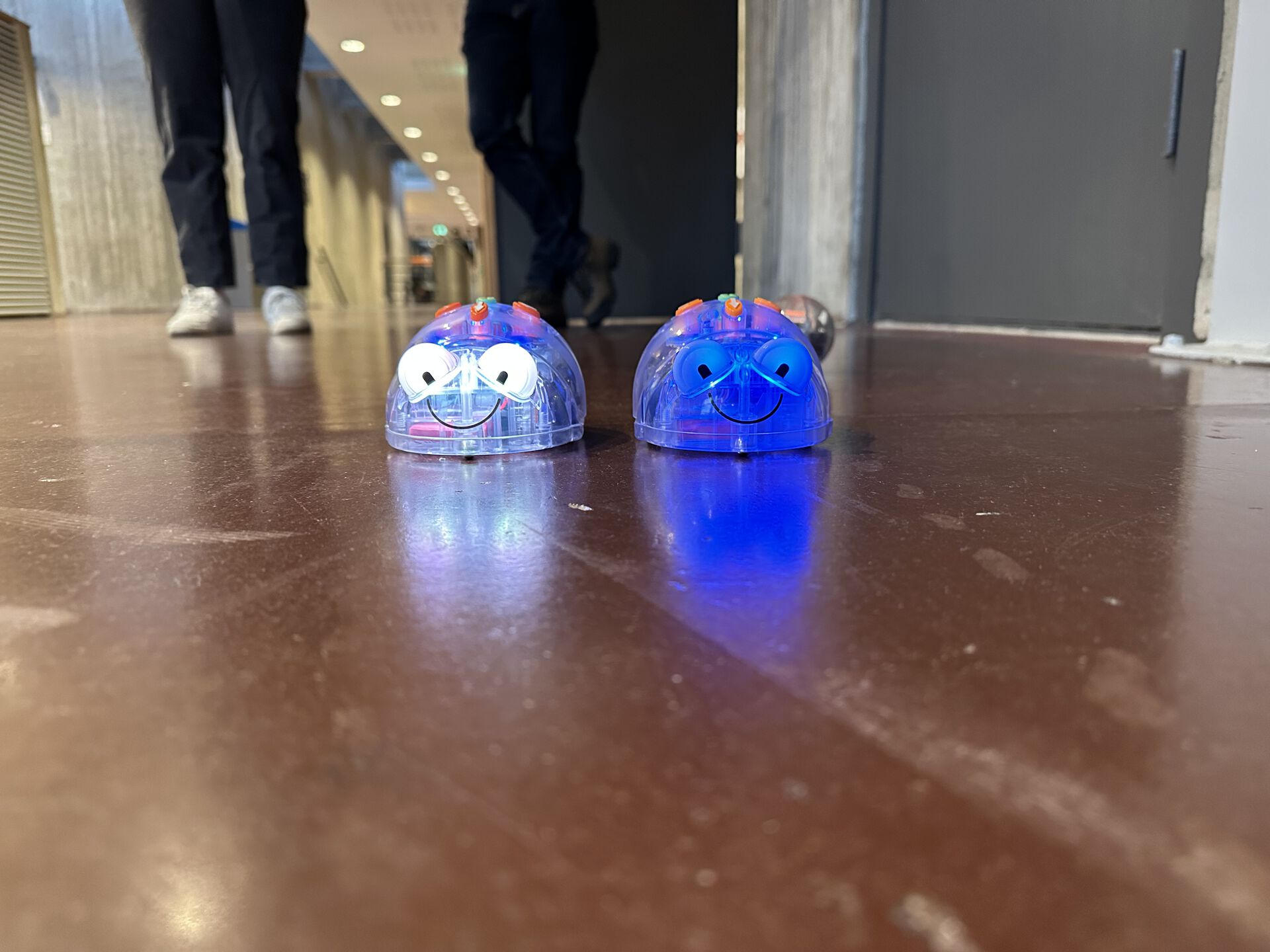 To blueboter som står ved siden av hverandre på gulvet