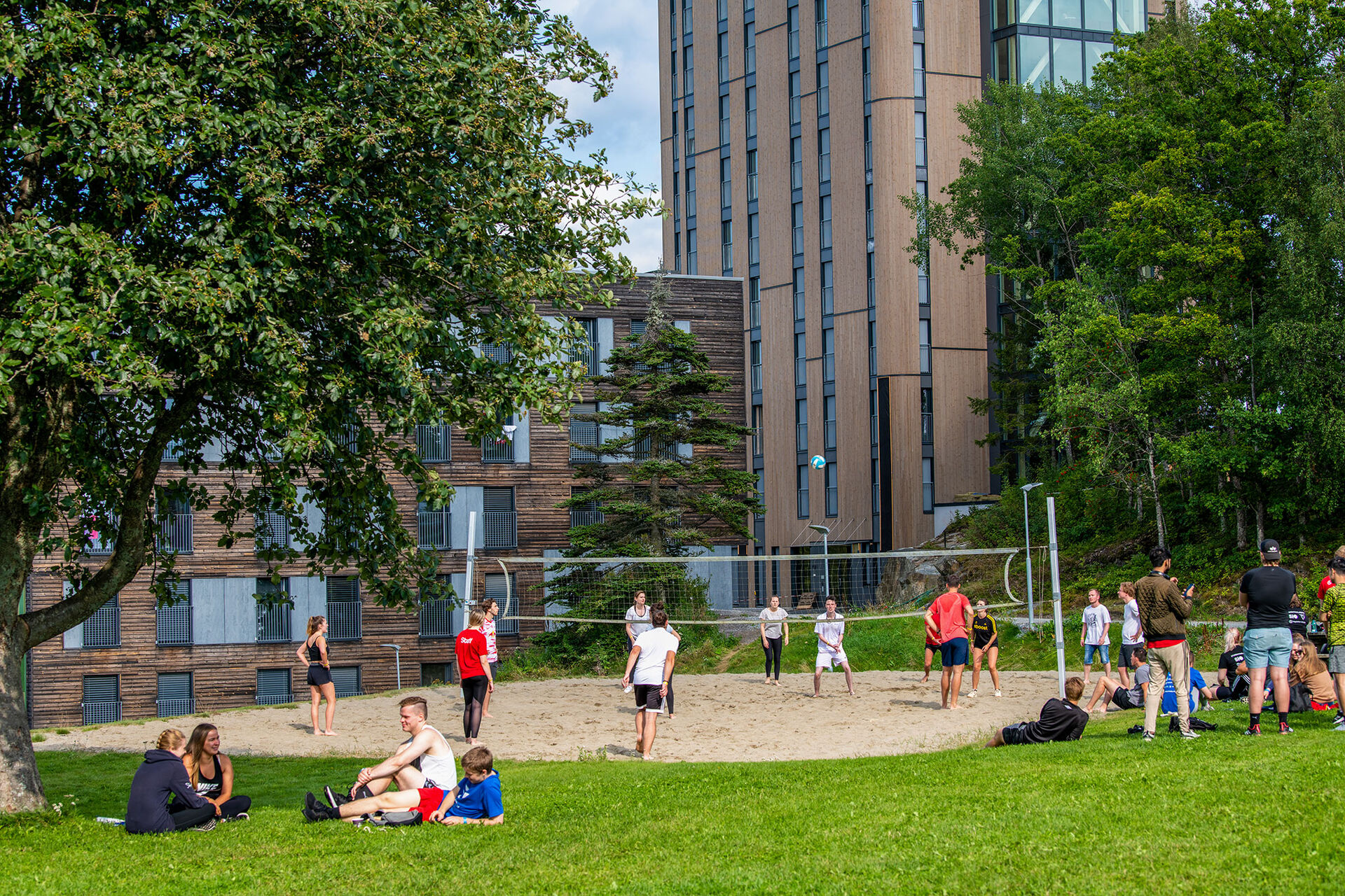 Dette bildet, som ble tatt på høgskolens campus i Halden ved studiestart, viser studenter som deltar på fadderleker - deriblant sandvolleyball.